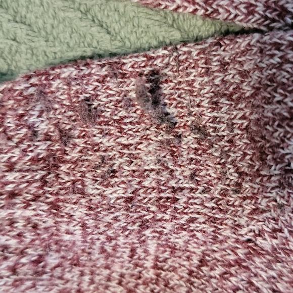 **Socks** - Picture 3 of 13